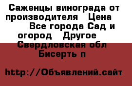 Саженцы винограда от производителя › Цена ­ 800 - Все города Сад и огород » Другое   . Свердловская обл.,Бисерть п.